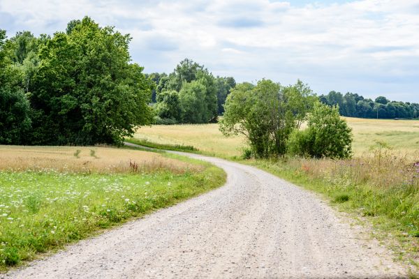 Stone Driveway Repair in Falls Church